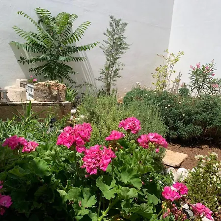 Le Cummerse In Centro Casa vacanze Alberobello
