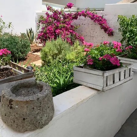 Le Cummerse In Centro بيت للعطل ألبيروبيللو